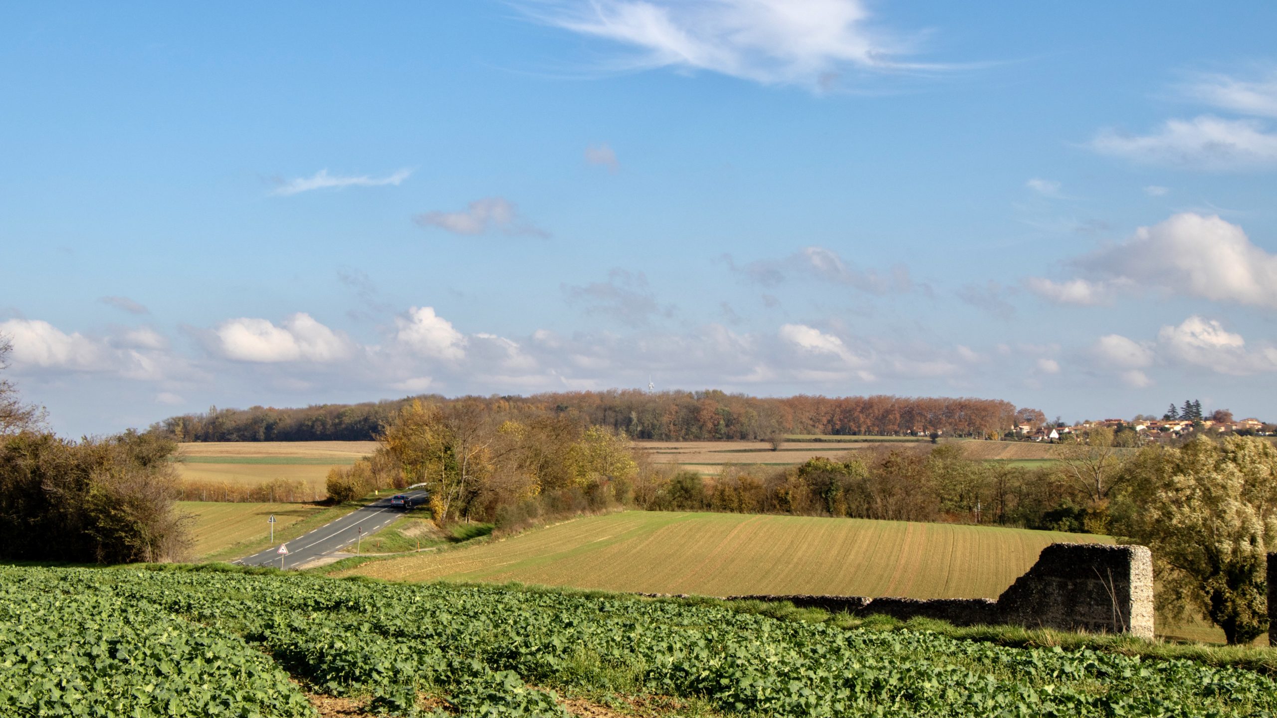 Forêt de Vancie