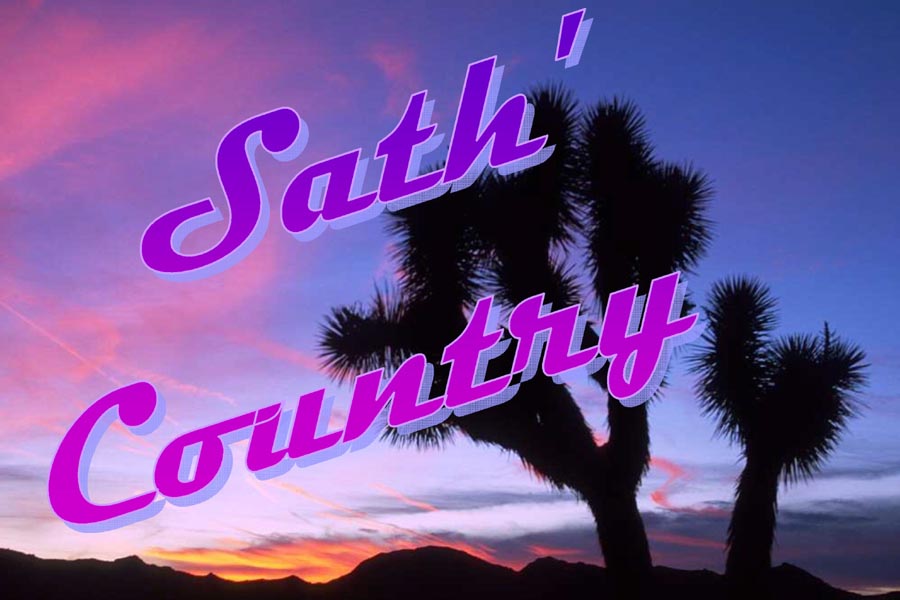 logo-sathcountry