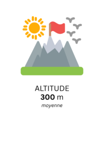 altitude site internet