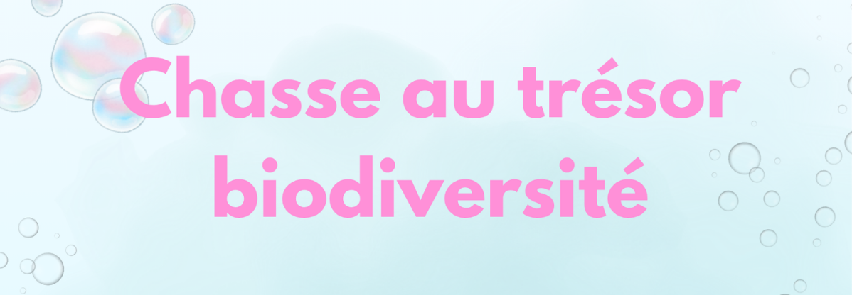 Chasse au trésor biodiversité à la bibliothèque de Sathonay-Village